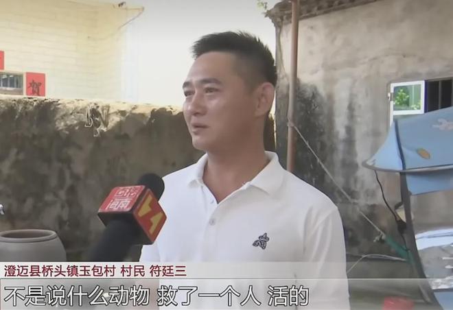 任正非全家“出逃”传闻火了,但真正该关心的是另一件事