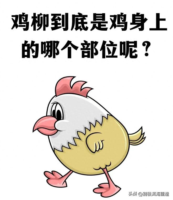 萨巴伦卡:红土草地不算失败只是调整新打法,和德约混双剑指冠军