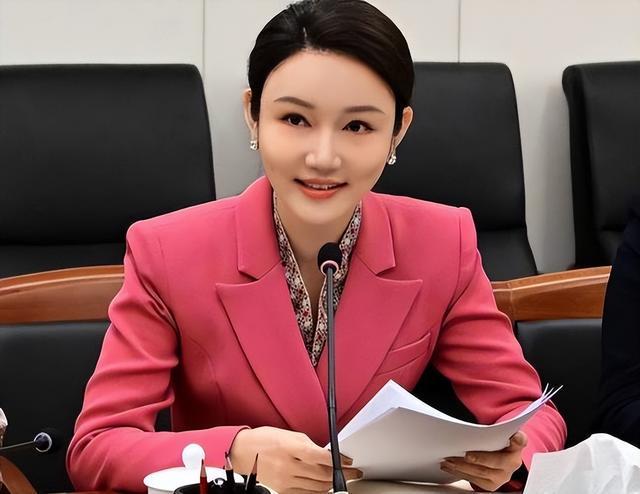 《交锋》直到马憩叛变,才知,原来这才是朱应甲最终落网的真相