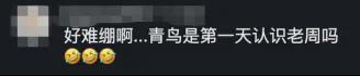 孙佳俊:回归泳道之前