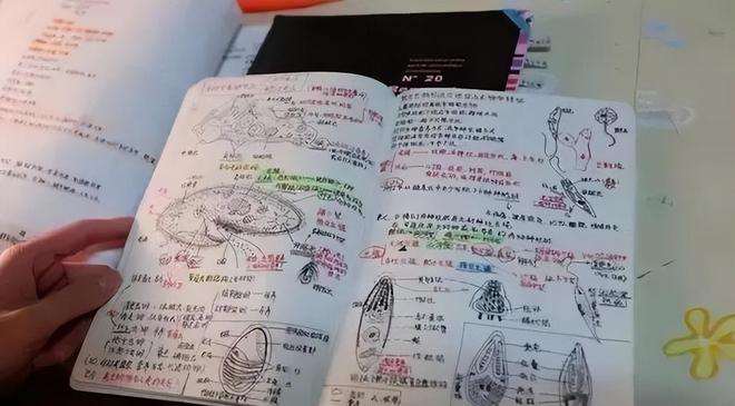 温网“一轮游”延续低迷状态,下半年郑钦文“一场一场来”
