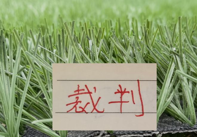 全红婵不对劲，不是她以后不比赛了，而是她今年19岁了，居然开始了自己的精致路线
