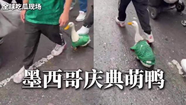 申花 成都 山东的巴西前锋都打出身价 唯独海港巴西外援还没发威