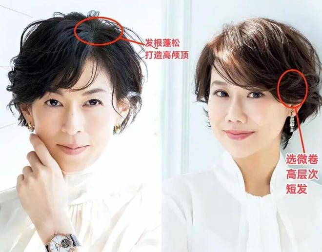 女生把小猫当小孩养，却被逼婚的父亲威胁：你把猫当孩养，那我就吃掉！